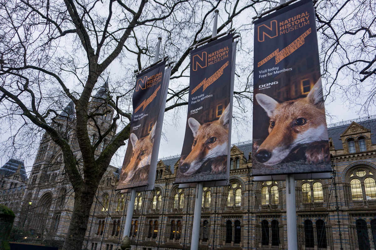 Wildlife Photographer of the Year im Natural History Museum London